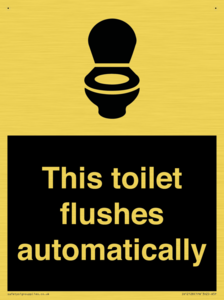 This toilet flushes automatically